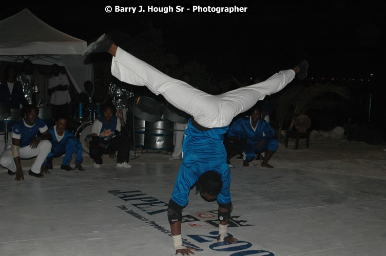 JAPEX 2009 photograph DSC_9885