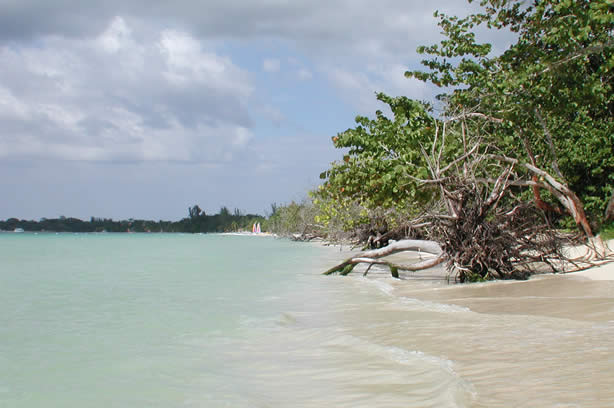 A Photo Walk along Negril's Famous Seven Mile Beach - Negril Travel Guide, Negril Jamaica WI - http://www.negriltravelguide.com - info@negriltravelguide.com...!